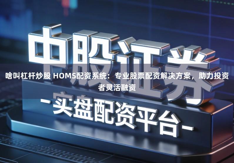 啥叫杠杆炒股 HOMS配资系统：专业股票配资解决方案，助力投资者灵活融资