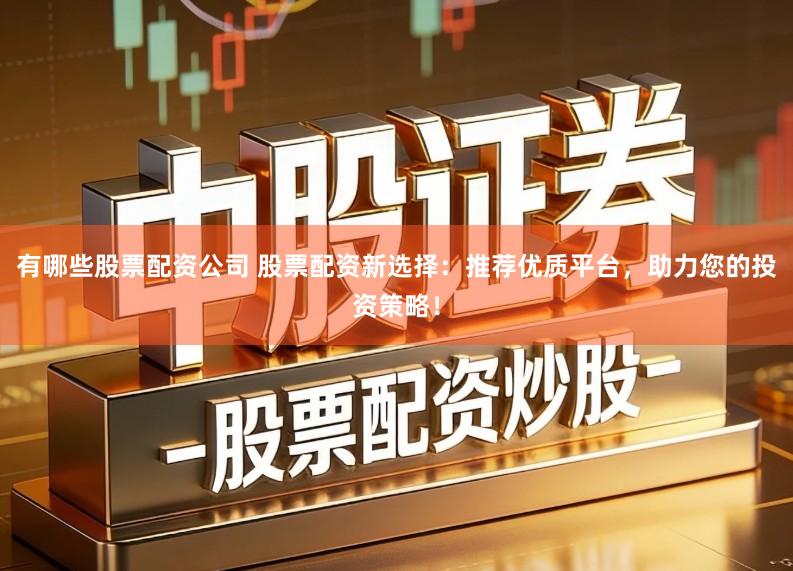 有哪些股票配资公司 股票配资新选择：推荐优质平台，助力您的投资策略！