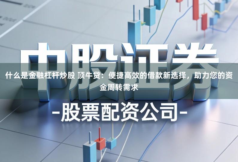 什么是金融杠杆炒股 顶牛贷：便捷高效的借款新选择，助力您的资金周转需求